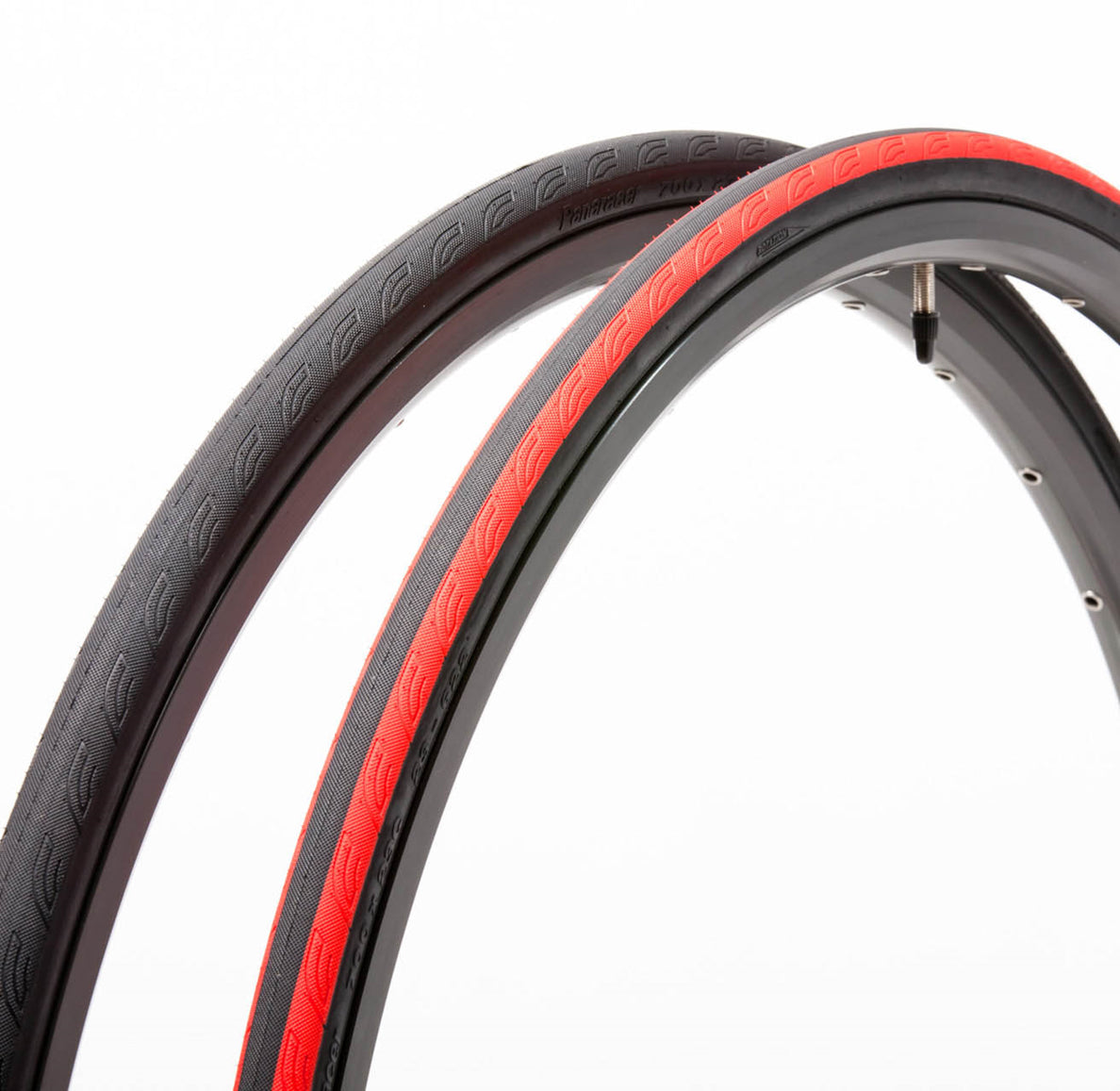 Catalyst Sport Wire Road Tire