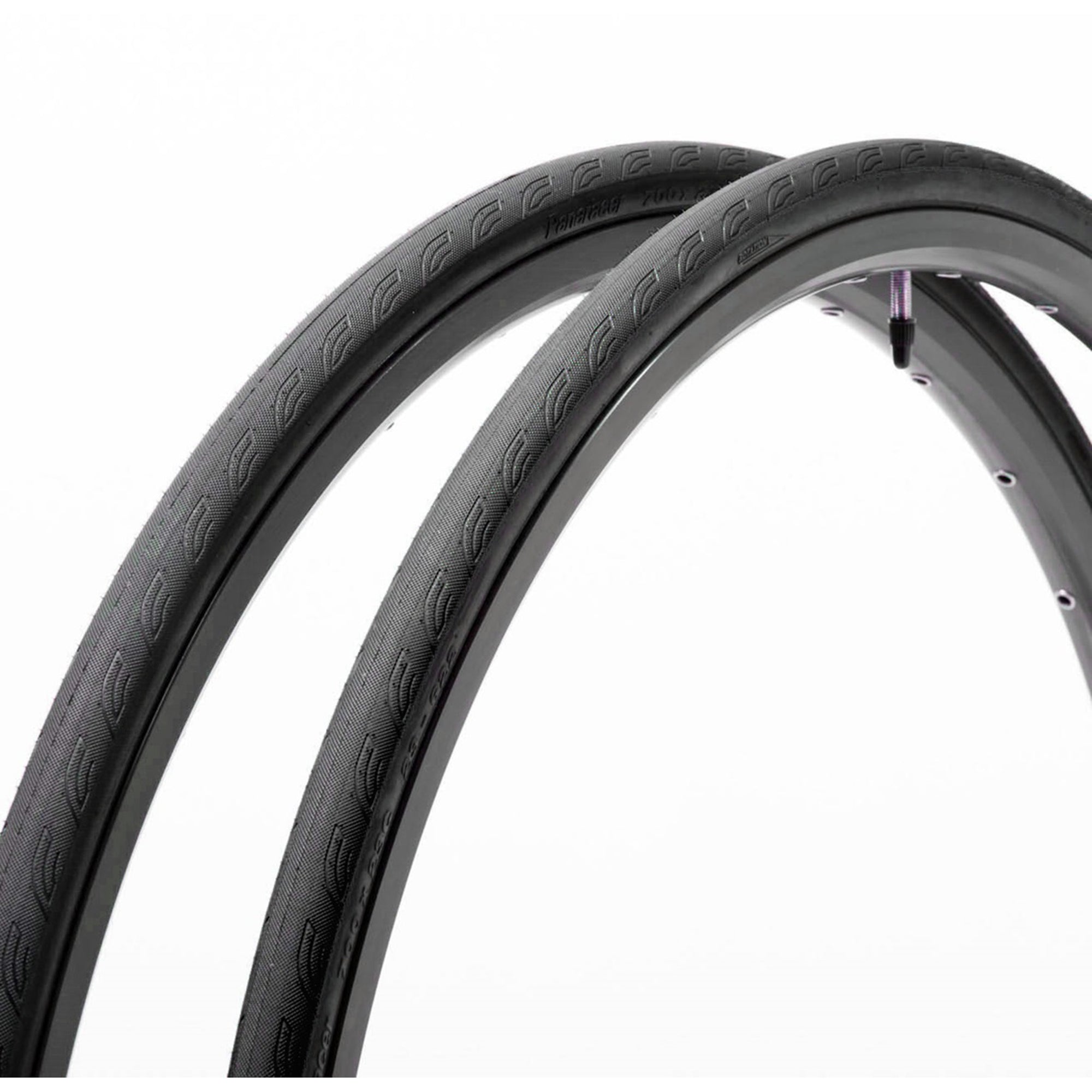 Catalyst Sport Wire Road Tire